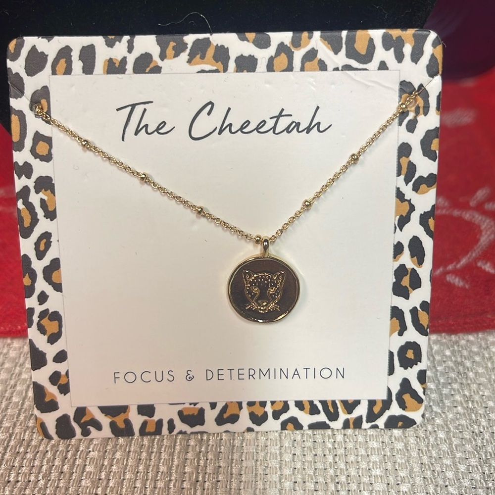 Francesca’s Cheetah Necklace